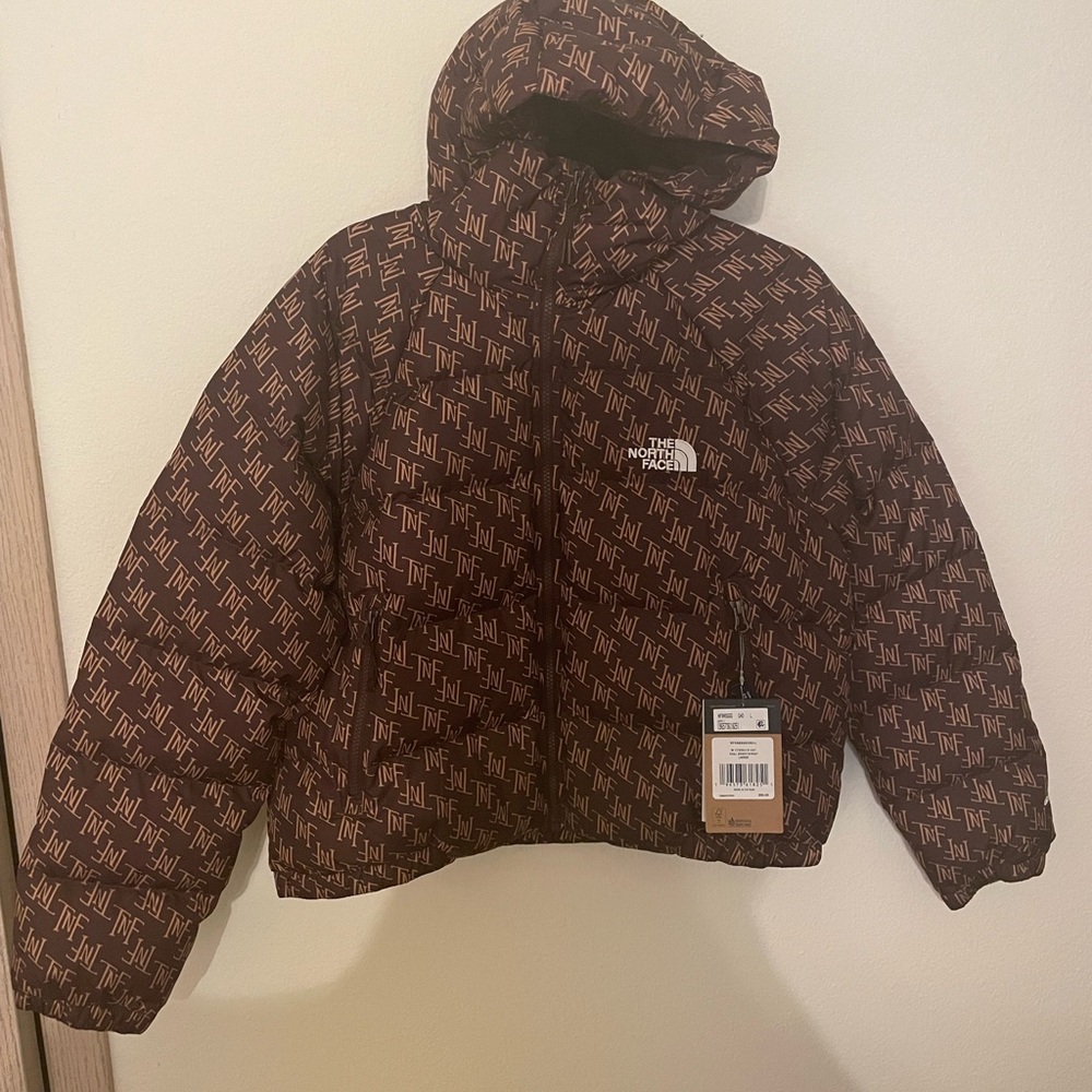 The North Face Women’s Hydrenalite™ Down Hoodie (NWT)
